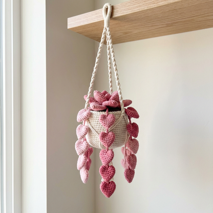 Crochet Hanging Plants Pattern Bundle - 5 Realistic Succulents & Flowers (Digital Download)